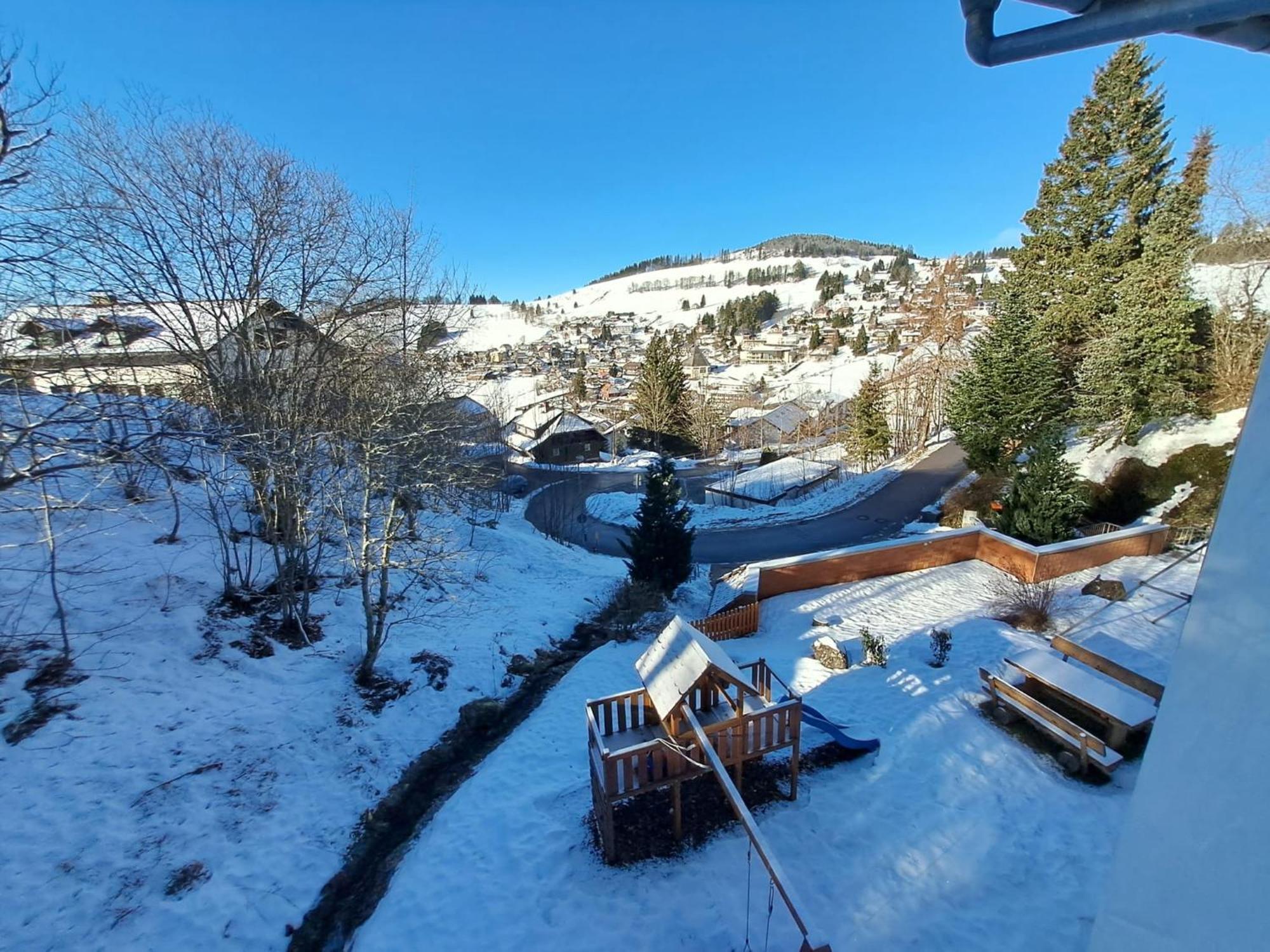 Residenz Schauinsland, Ganzes Appartement, Sauna Todtnau Exteriör bild