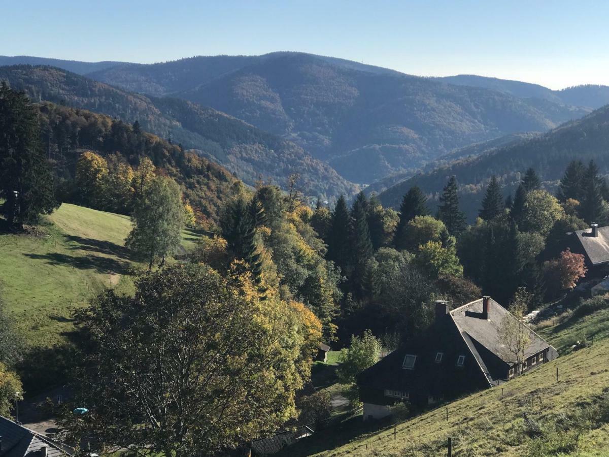 Residenz Schauinsland, Ganzes Appartement, Sauna Todtnau Exteriör bild